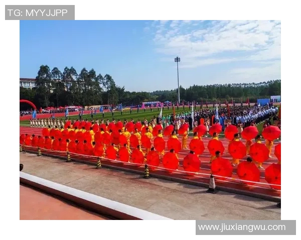 张丽的排球人生：从梦想起航到赛场辉煌的深度对话