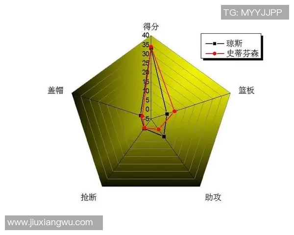 杭州排球队战术表现深度解析与数据分析探讨