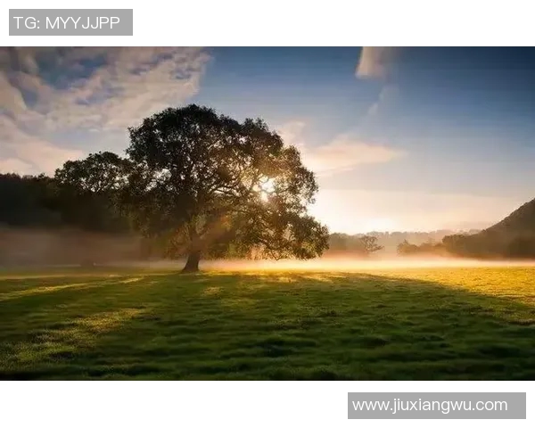 陈丽的足球人生深度对话：从绿茵场到人生舞台的精彩旅程