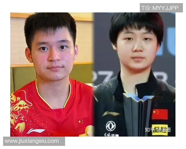 南京乒乓球队精英赛战术分析与表现评估探讨