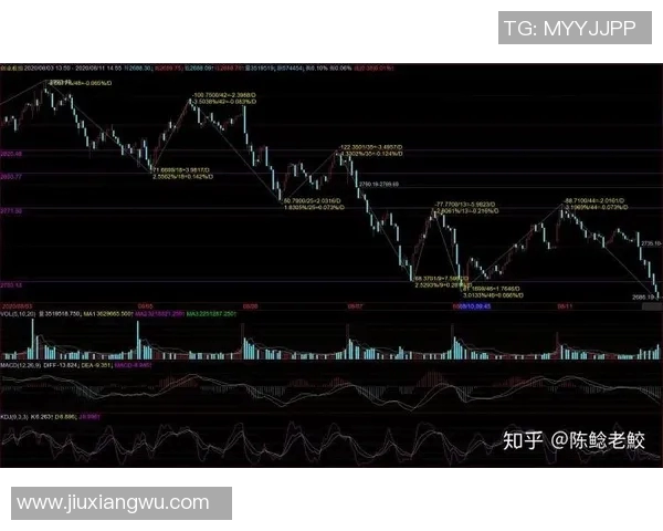 南京羽毛球队与杭州羽毛球队赛后复盘分析比赛节奏与战术对比