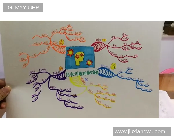 南京羽毛球队的控制揭秘深度分析其战术与训练体系的成功之道