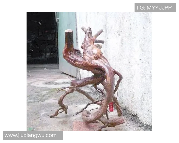 张丽独家分享篮球心得与技巧助你提升球技的全面指南 张丽独家分享篮球心得与技巧助你提升球技的全面指南