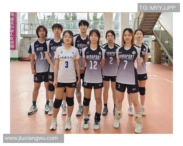 成都排球队实力揭秘：排球巨献背后的奋斗与荣耀