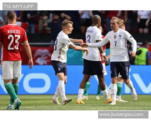 2020年欧洲杯葡萄牙与法国的精彩对决回顾与分析