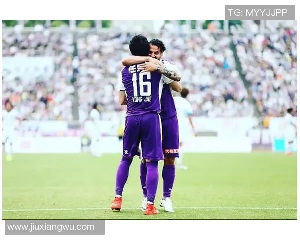 山形山神与不死鸟的决战传说揭示了力量与永恒的对抗之谜