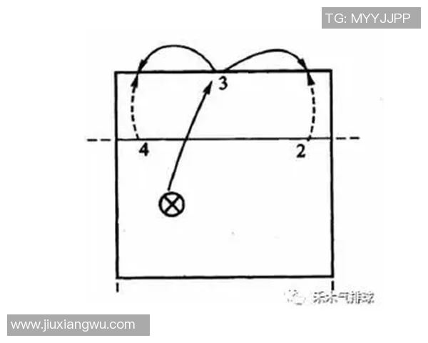 排球新手必看:全面提升个人能力的入门指南与实用技巧分享